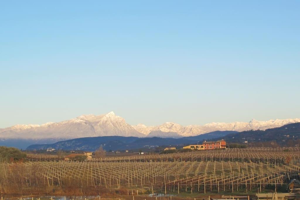 Country Apartment, Near Bardolino And Lazise Calmasino Dış mekan fotoğraf